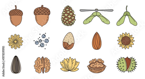 Variety of seeds and nuts.