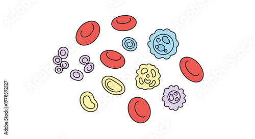 Blood Cells Under Microscope View.