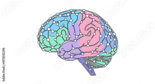 Colorful Brain Illustration with Sections.