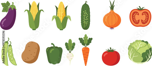 Organic vegetable vector collection. Flat illustrations of corn, eggplant, potato, peas, onion, tomato, carrot, and cabbage for healthy food and garden design.