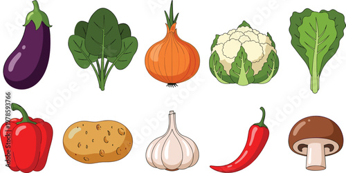 Organic vegetable vector icon set. Flat illustrations of eggplant, spinach, onion, cauliflower, lettuce, bell pepper, potato, garlic, chili, and mushroom for healthy food design.