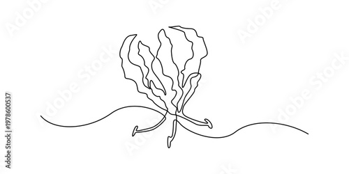 Continuous line drawing of seaweed on ocean floor