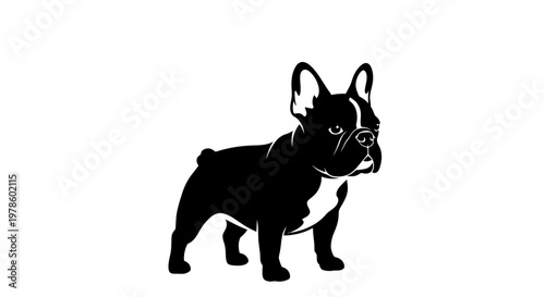 Black and white french bulldog silhouette standing on white background