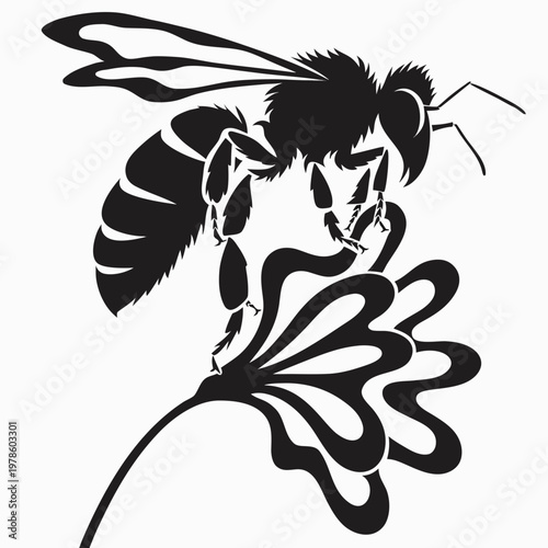 Silhouette of a honey bee on a wildflower.