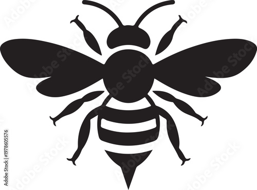 A classic black and white illustration of a bee with distinct striped abdomen Vector

