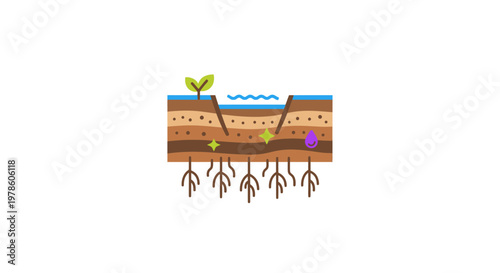 Soil Layers and Plant Roots Diagram.