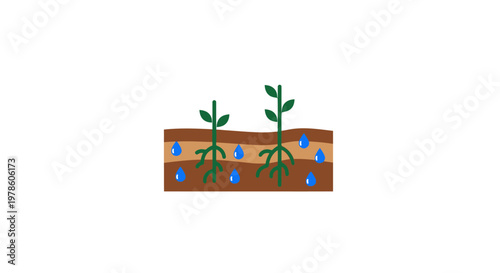 Soil with small green plants growing.