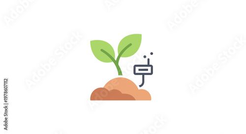 Small green plant growing in soil.