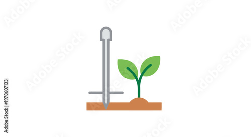 Small green plant growing outdoors.