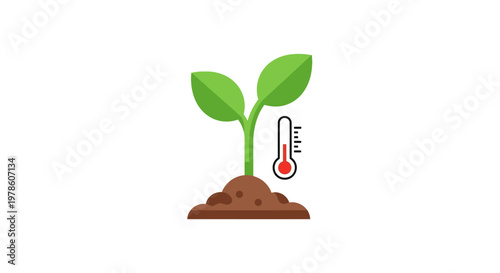 Small green plant growing in soil.