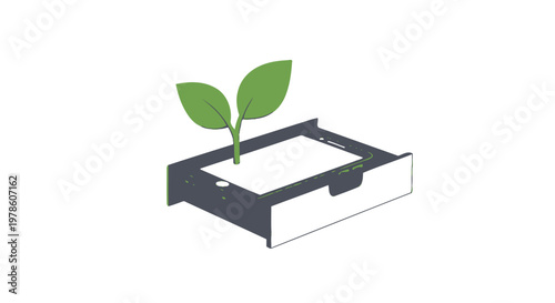 Small green plant in box.