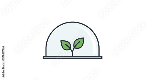 Small green plant in a dome.