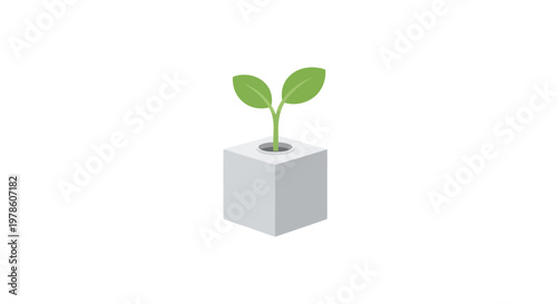 Small green plant in cube pot.
