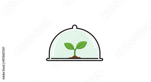 Small green plant under glass cover.