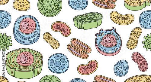 Tableau sur toile Colorful illustration of various cells.