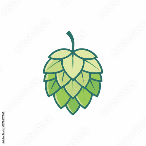 Illustration of a green hop plant on a white background.