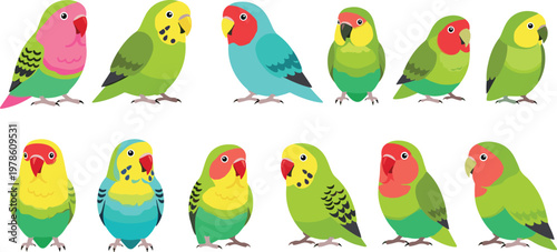 Cute Parakeet Cartoon Illustration Set with Colorful Budgerigar Bird Characters Collection for Pets, Wildlife, Kids Design, and Animal Projects
