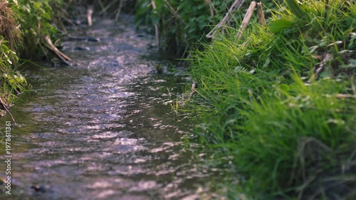 Freshwater spring rippling water