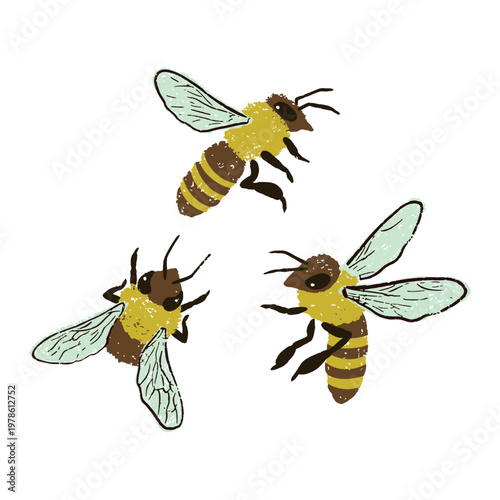 Hand drawn abstract textured honeybees set. Artistic chalky texture brush strokes bee