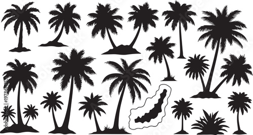 Black Silhouettes of Palm Trees on White Background