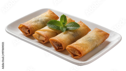 Tableau sur toile Golden crispy spring rolls with fresh mint leaves, isolated on transparent backg