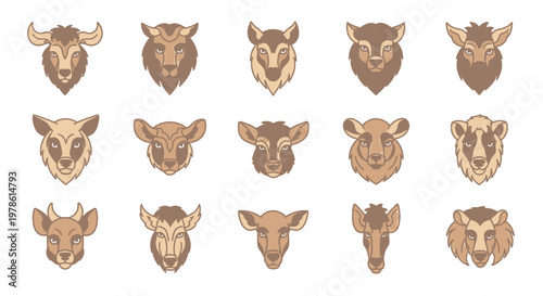 Quadro em tela Collection of various animal heads.