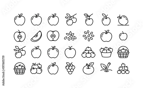 Apple picking harvest with ripe apples, green apples, red apples, hanging fruit clusters and fresh orchard produce clean monoline