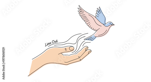 Hand releasing a white dove bird.