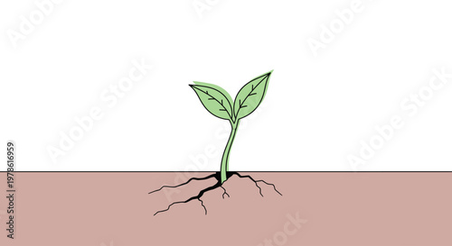 Small green plant with roots growing.