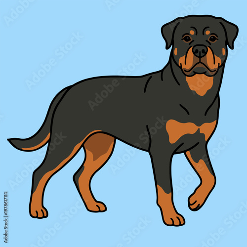 Loyal Rottweiler Guard Dog in Flat Design Vector Illustration