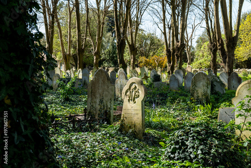 old graveyard in the woods