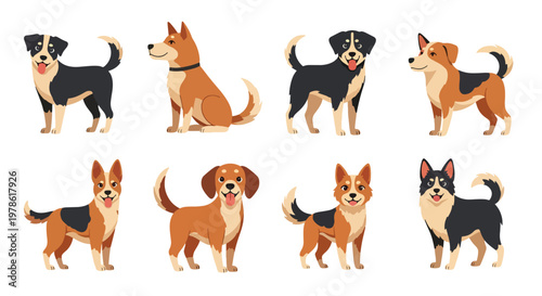 Collection set flat style vector illustration of cute dogs in various poses, playful puppy characters, pet animals isolated, friendly domestic canine design