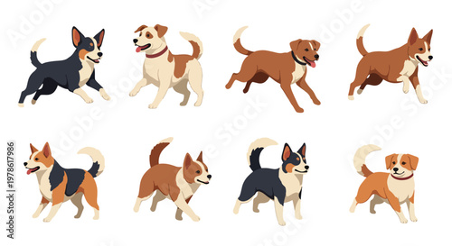 Collection set flat style vector illustration of cute dogs in various poses, playful puppy characters, pet animals isolated, friendly domestic canine design