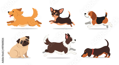 Collection set flat style vector illustration of cute dogs in various poses, playful puppy characters, pet animals isolated, friendly domestic canine design