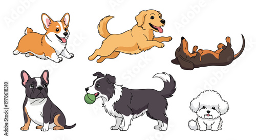 Collection set flat style vector illustration of cute dogs in various poses, playful puppy characters, pet animals isolated, friendly domestic canine design