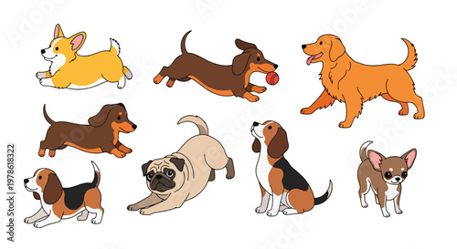 Collection set flat style vector illustration of cute dogs in various poses, playful puppy characters, pet animals isolated, friendly domestic canine design
