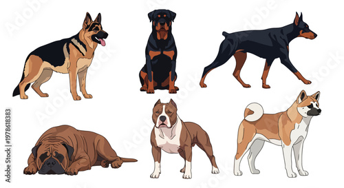 Collection set flat style vector illustration of guardian dog breeds including rottweiler, german shepherd and pitbull, domestic animals isolated, strong canine characters