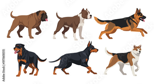 Collection set flat style vector illustration of guardian dog breeds including rottweiler, german shepherd and pitbull, domestic animals isolated, strong canine characters