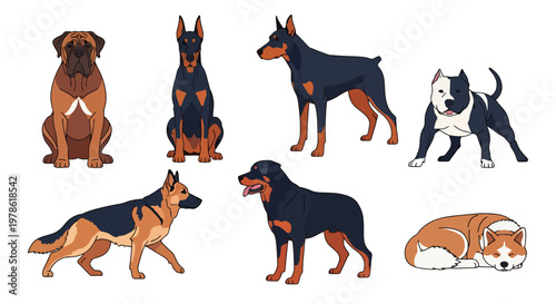 Collection set flat style vector illustration of guardian dog breeds including rottweiler, german shepherd and pitbull, domestic animals isolated, strong canine characters