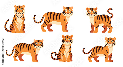 Collection set flat style vector illustration of tigers in different poses, wild animals isolated, jungle predator characters, strong feline wildlife design