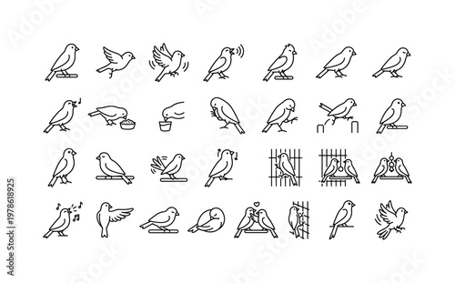 Canary activities with singing, perching, hopping, preening, feeding, socializing, and resting behaviors clean monoline outline