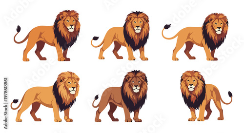 Collection set flat style vector illustration of lions in various poses, wild animals isolated, king of jungle concept, strong feline characters design