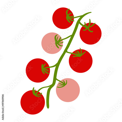 Cherry Tomato Branch with Ripe Red Tomatoes Isolated on Light Background, Fresh Organic Food Illustration