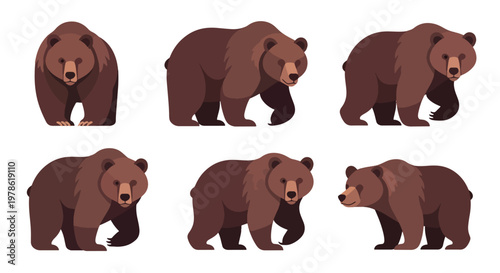 Collection set flat style vector illustration of brown grizzlies bears in different poses, wild animals isolated, forest wildlife characters, strong mammal design