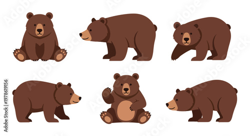 Collection set flat style vector illustration of brown grizzlies bears in different poses, wild animals isolated, forest wildlife characters, strong mammal design
