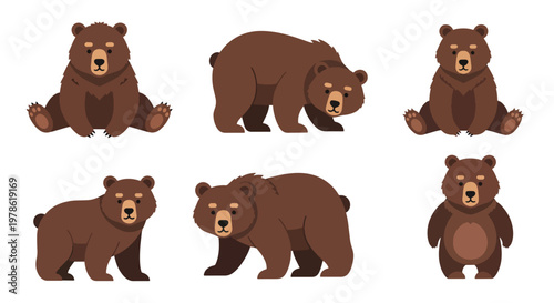 Collection set flat style vector illustration of brown grizzlies bears in different poses, wild animals isolated, forest wildlife characters, strong mammal design