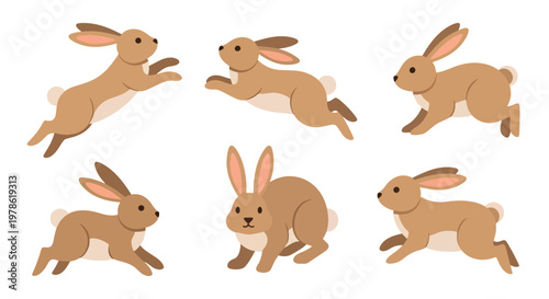 Collection set flat style vector illustration of rabbits in different poses, cute bunny characters, domestic and wild animals isolated, adorable design bundle