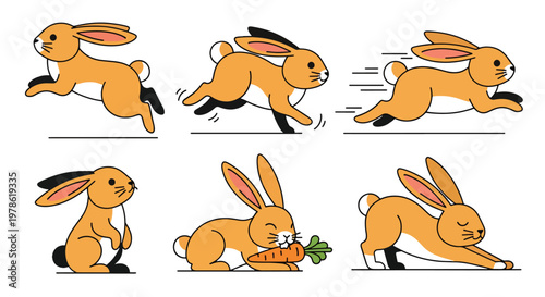 Collection set flat style vector illustration of rabbits in different poses, cute bunny characters, domestic and wild animals isolated, adorable design bundle