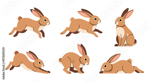 Collection set flat style vector illustration of rabbits in different poses, cute bunny characters, domestic and wild animals isolated, adorable design bundle