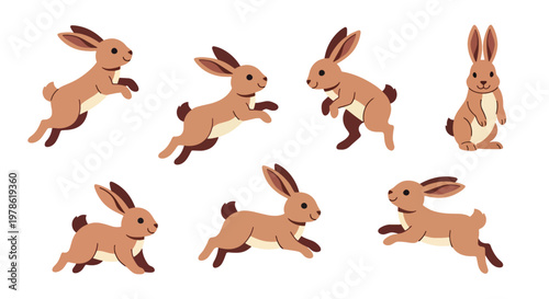 Collection set flat style vector illustration of rabbits in different poses, cute bunny characters, domestic and wild animals isolated, adorable design bundle